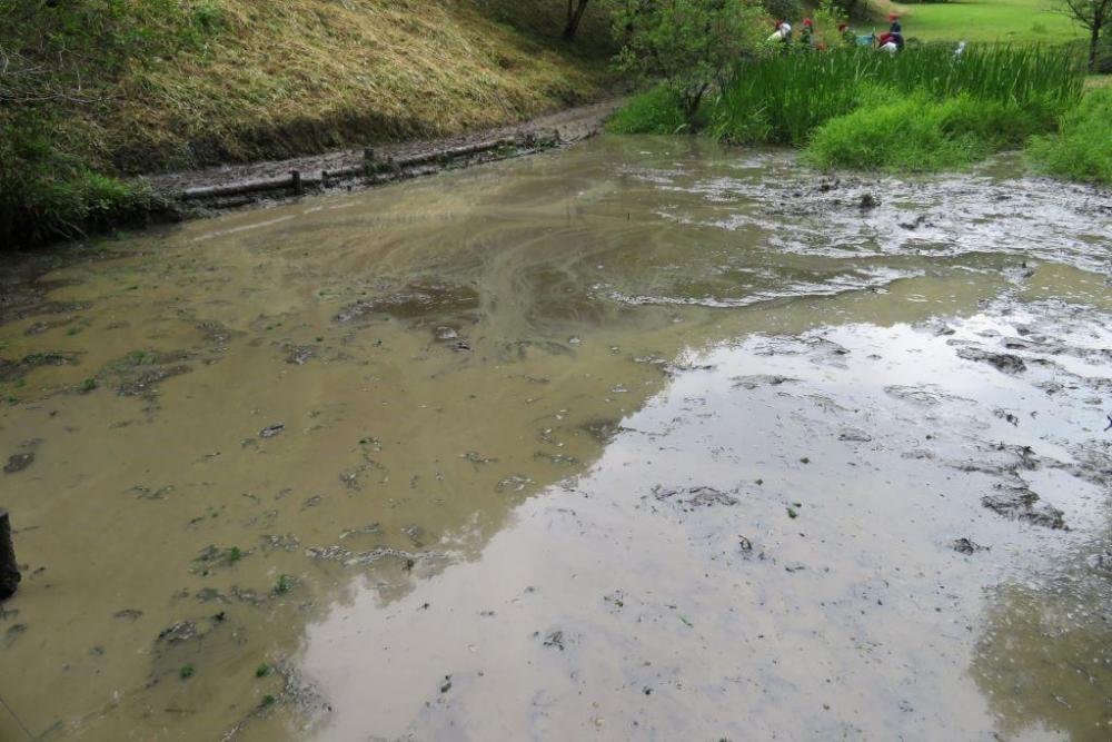 駆除完了！すっきりして水の流れもきれいに見えます（この2週間あとヘイケボタルもにぎやかでした）