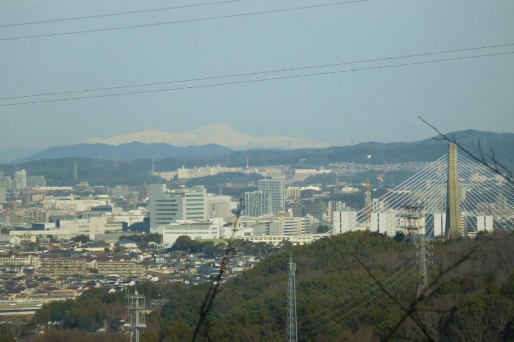 四阿(あずまや)のデッキ、爽快！！