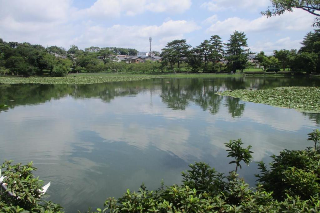 西三田ヶ入池北側全景