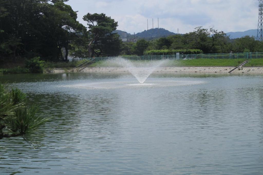 西三田ヶ入池南側全景