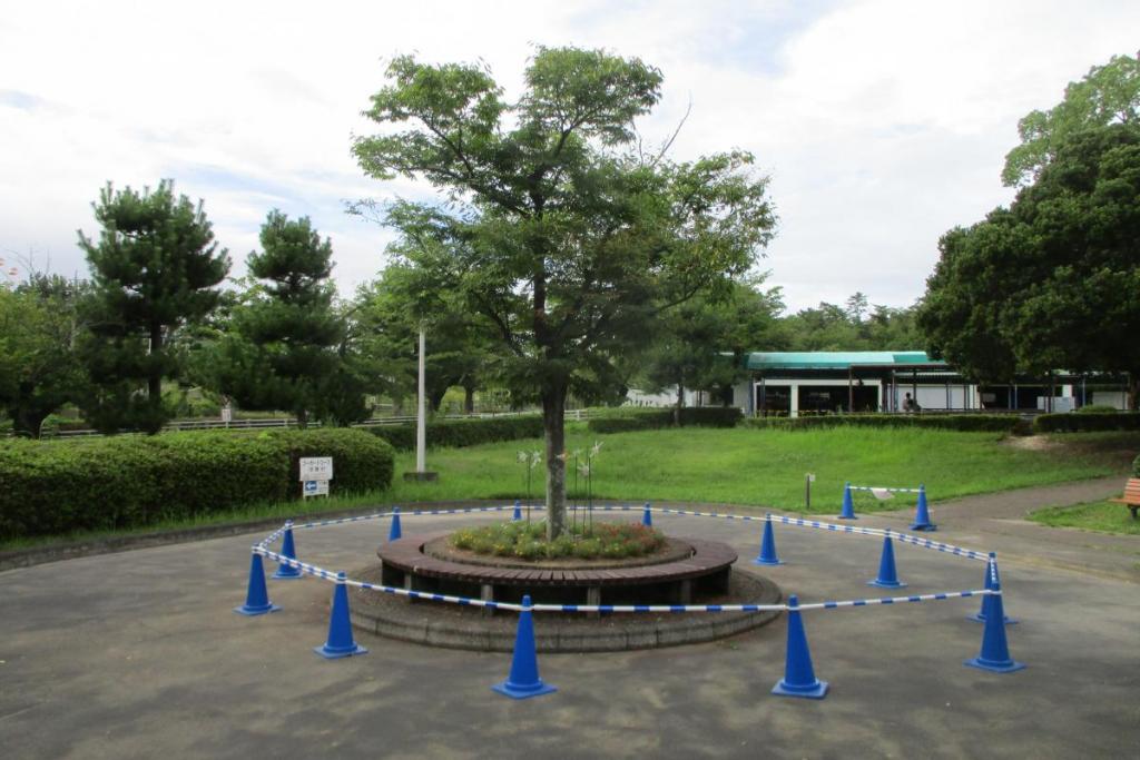 足踏みゴーカートコース
