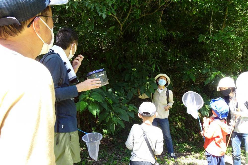 管理道路で何が？