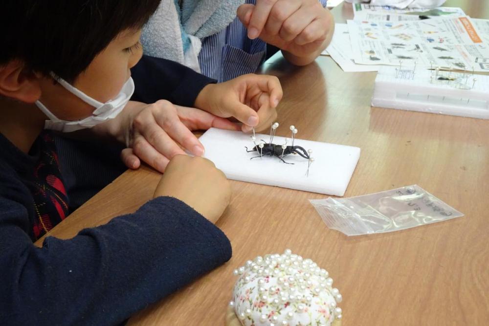 足の形や角の形をマチ針で整えます。