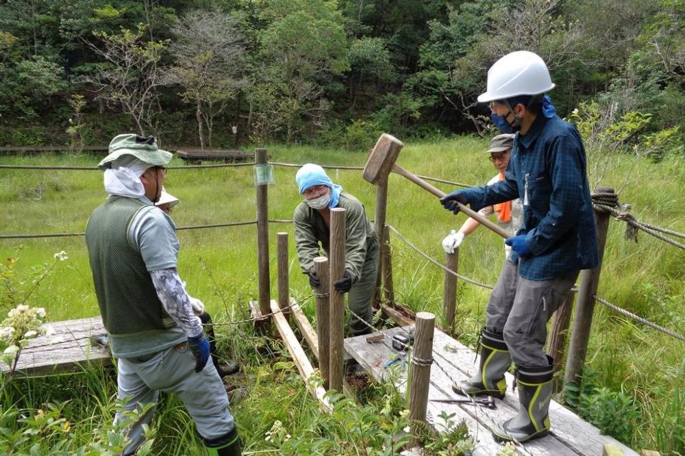 A湿地の木道整備