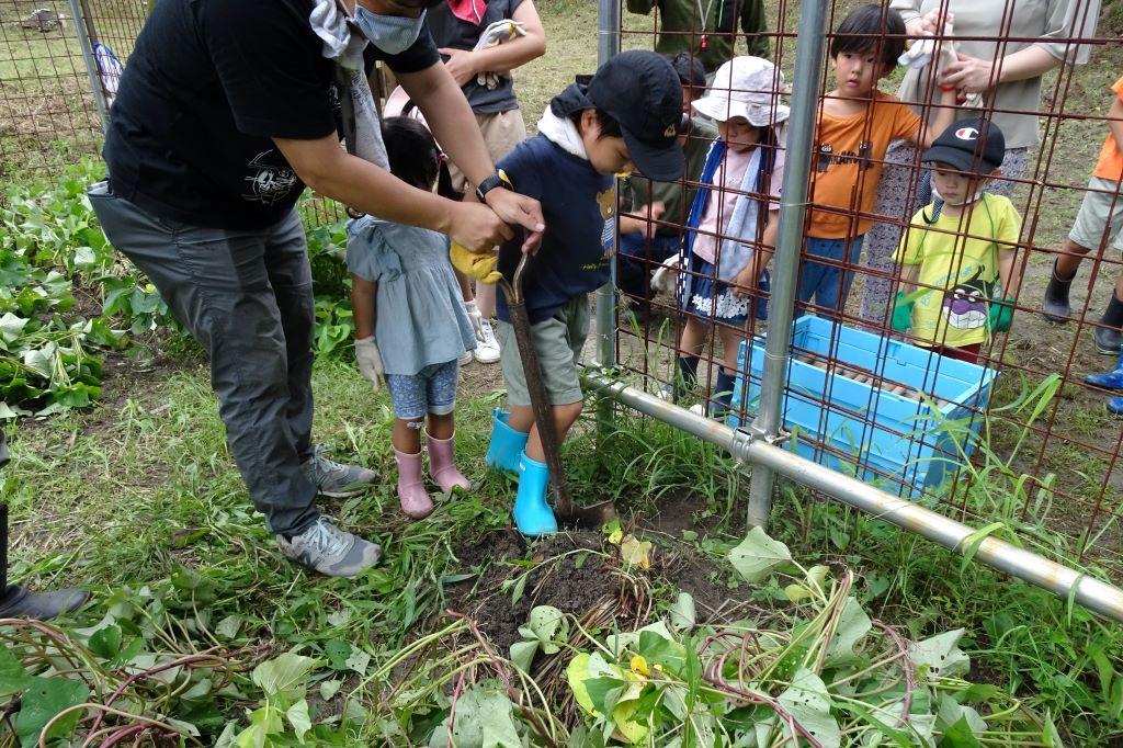 最初は１組の家族が代表で作業を教えてもらい、みんなで見ています。