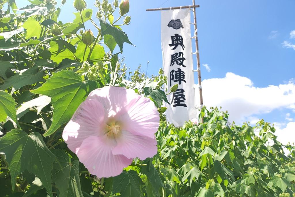 昼の様子です②