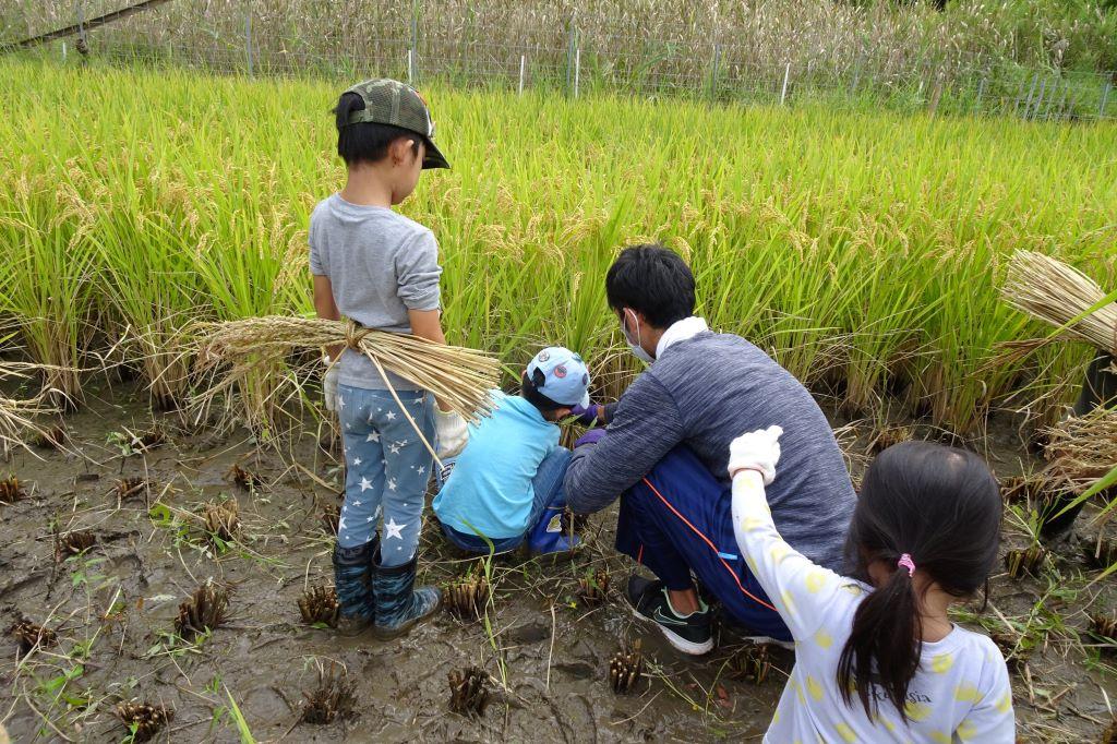 さあ開始です。最初からうまくはいきません。