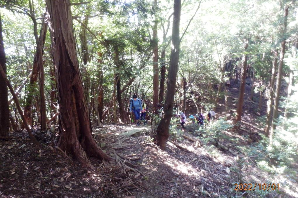 山道を登っていきます！