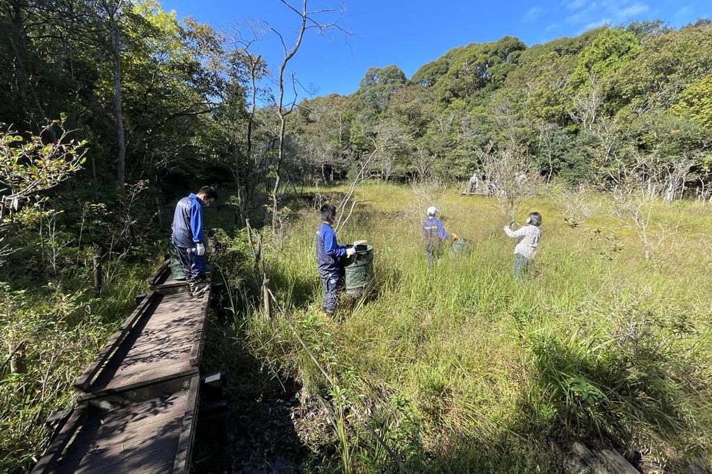 普段は入れない湿地の中へ。足元は生き物を踏まないように気を付けて。