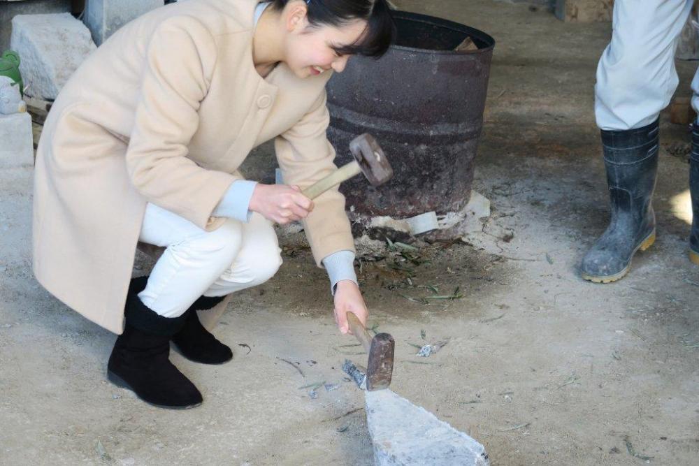 田村汐里の挑戦！