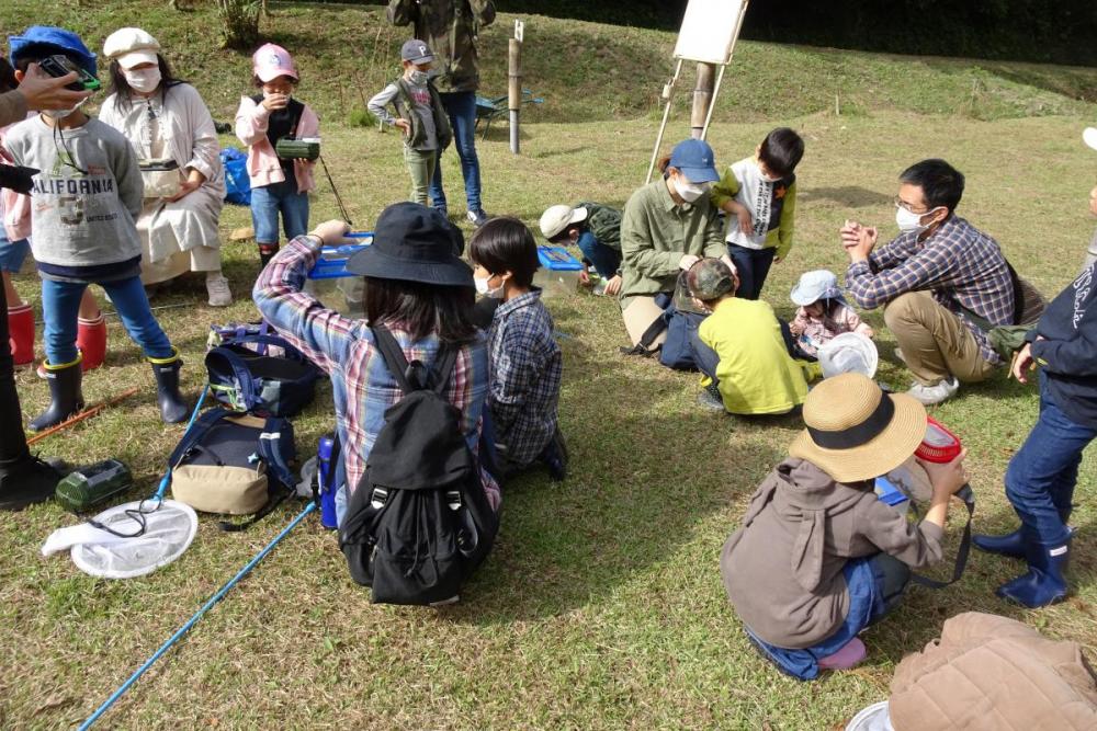 どの子にしようかね。家族会議です。