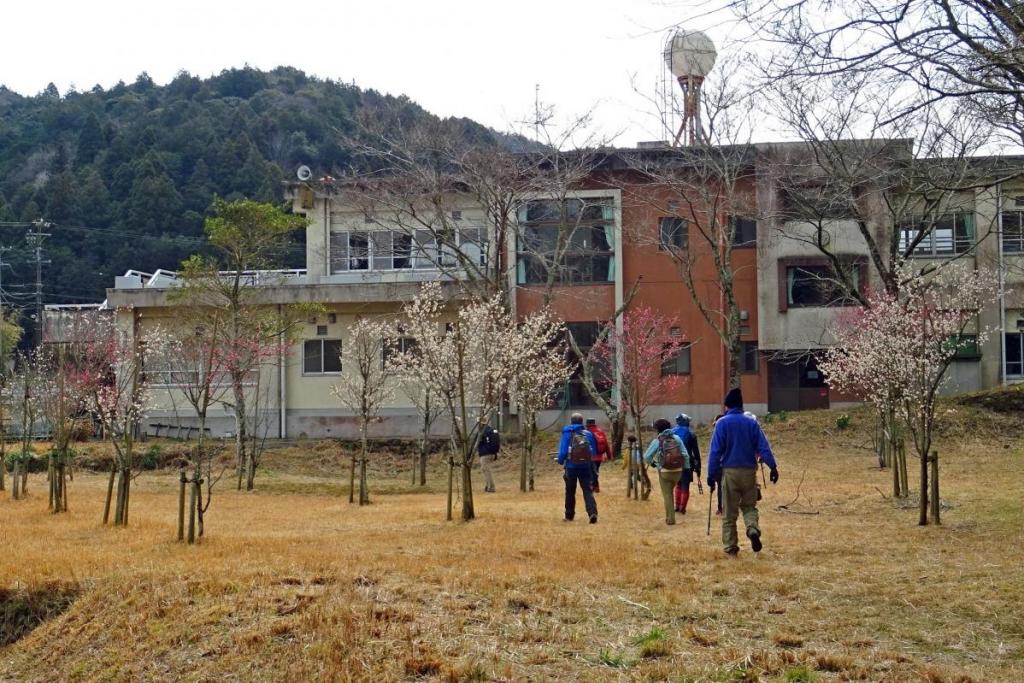 梅が過ぎたら、次はいよいよ桜ですね