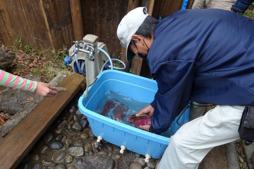 洗い方を説明しています。