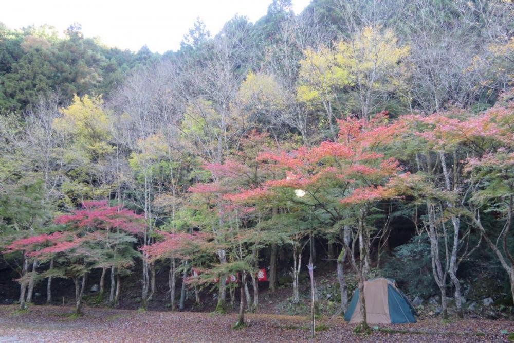 花の木広場