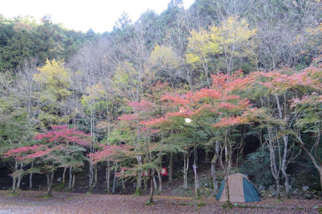 花の木広場