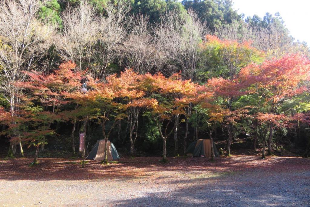 花の木広場