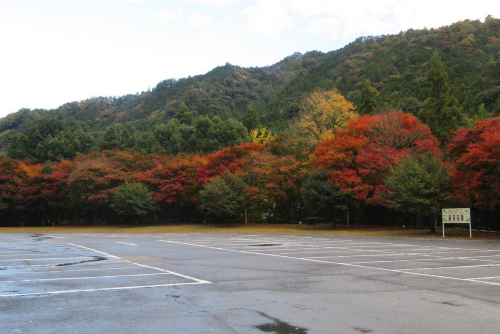 第1駐車場