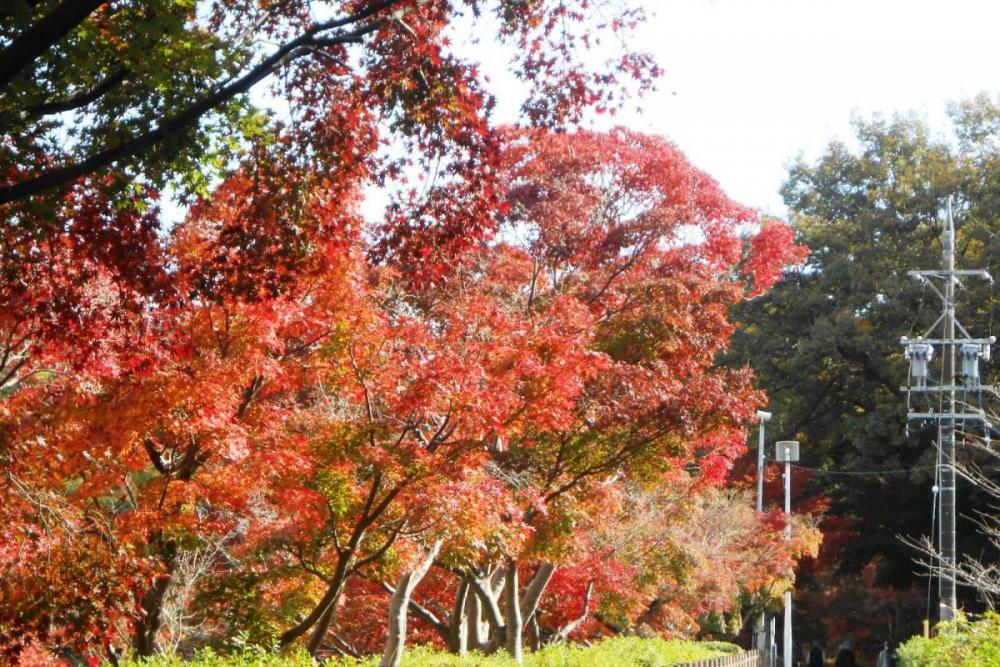 池沿い、日当たりのいいところから