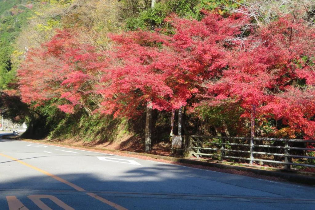 不動橋