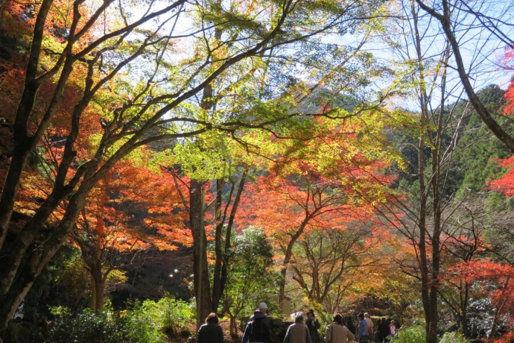 花の木広場