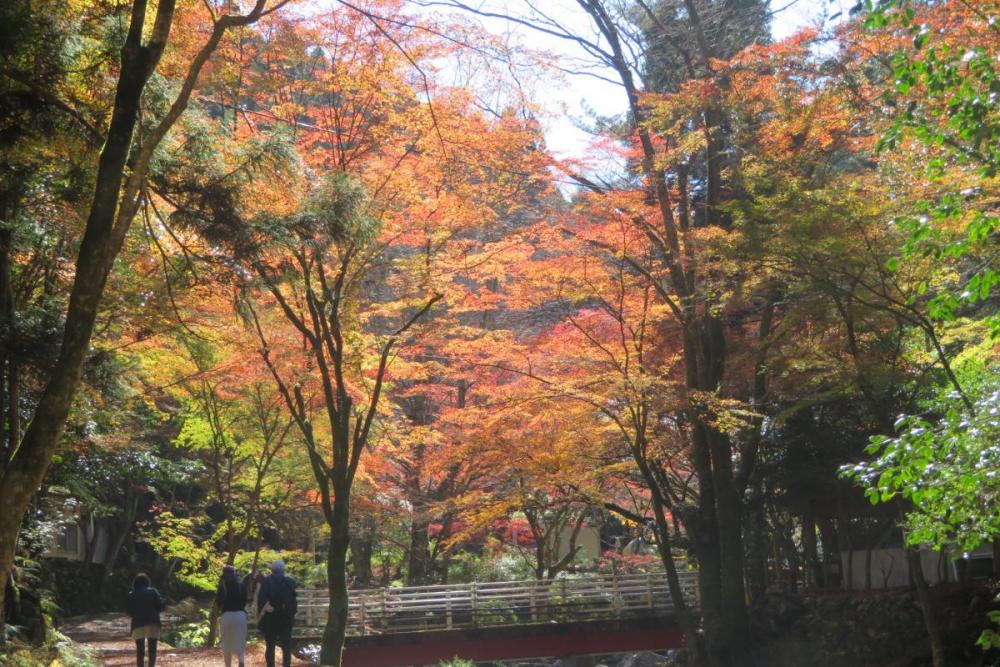 せせらぎ橋