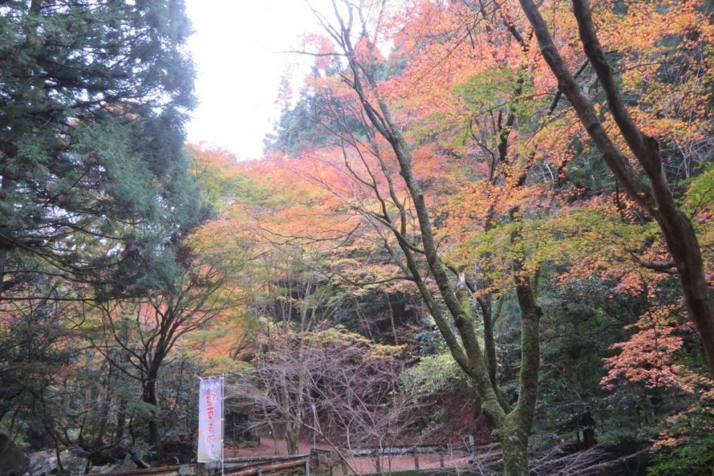 紅葉橋