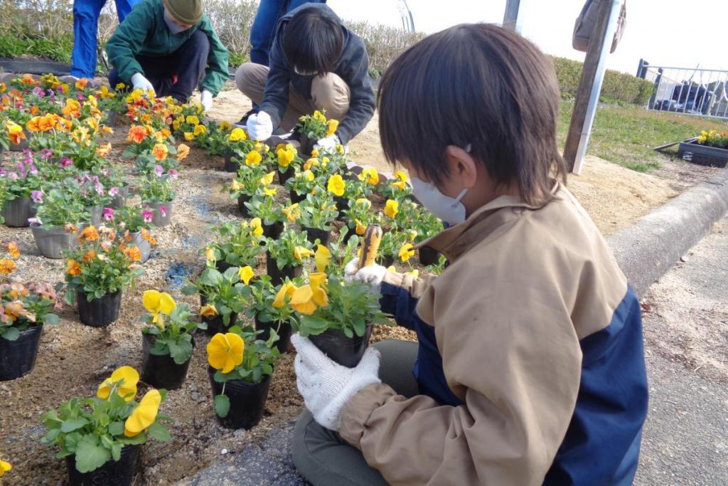 植え付けの様子