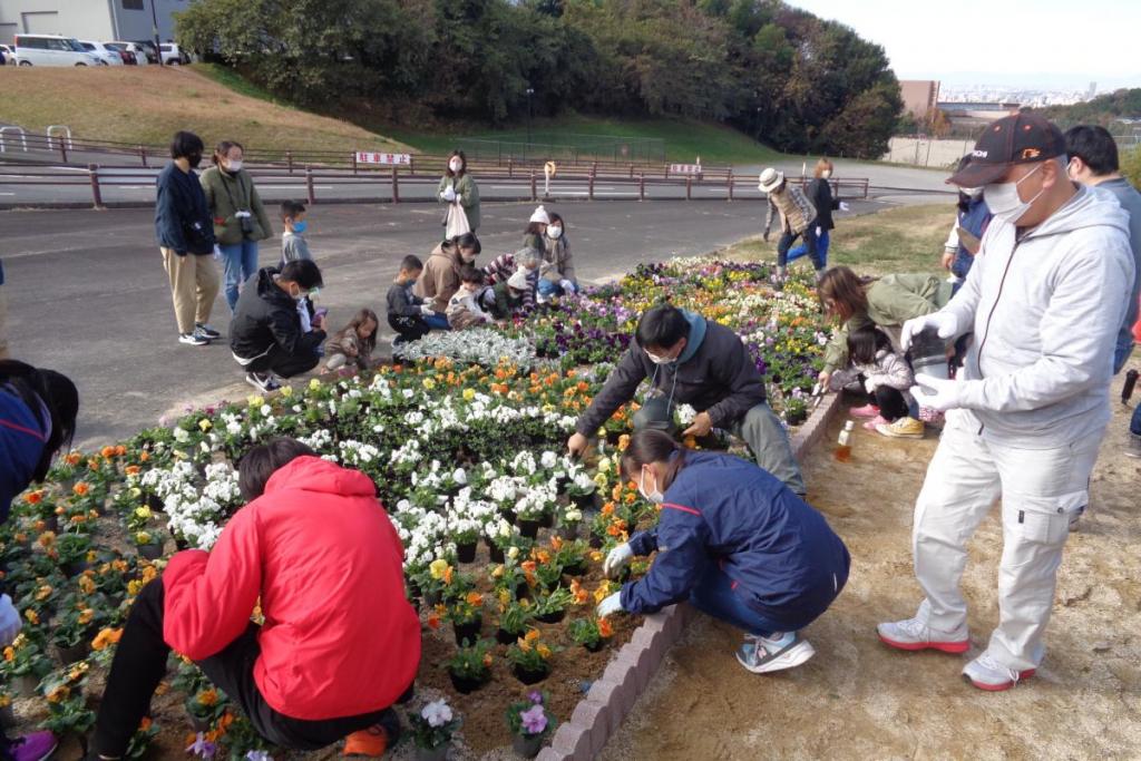 植え付けの様子