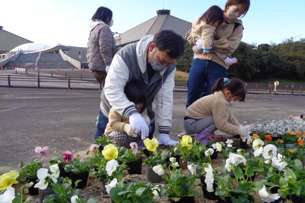 植え付けの様子