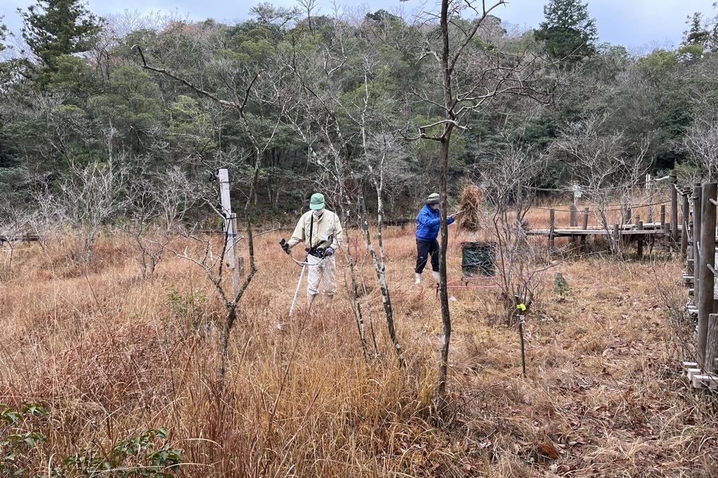 富栄養化を防ぎ、日を当てるために草を搬出します。