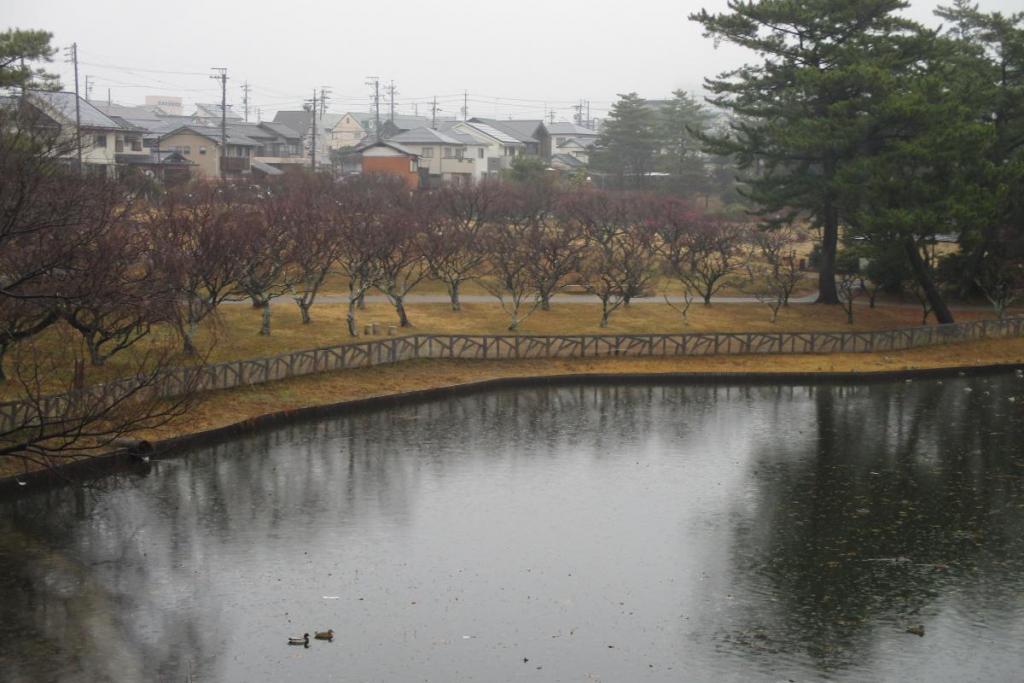 全景1