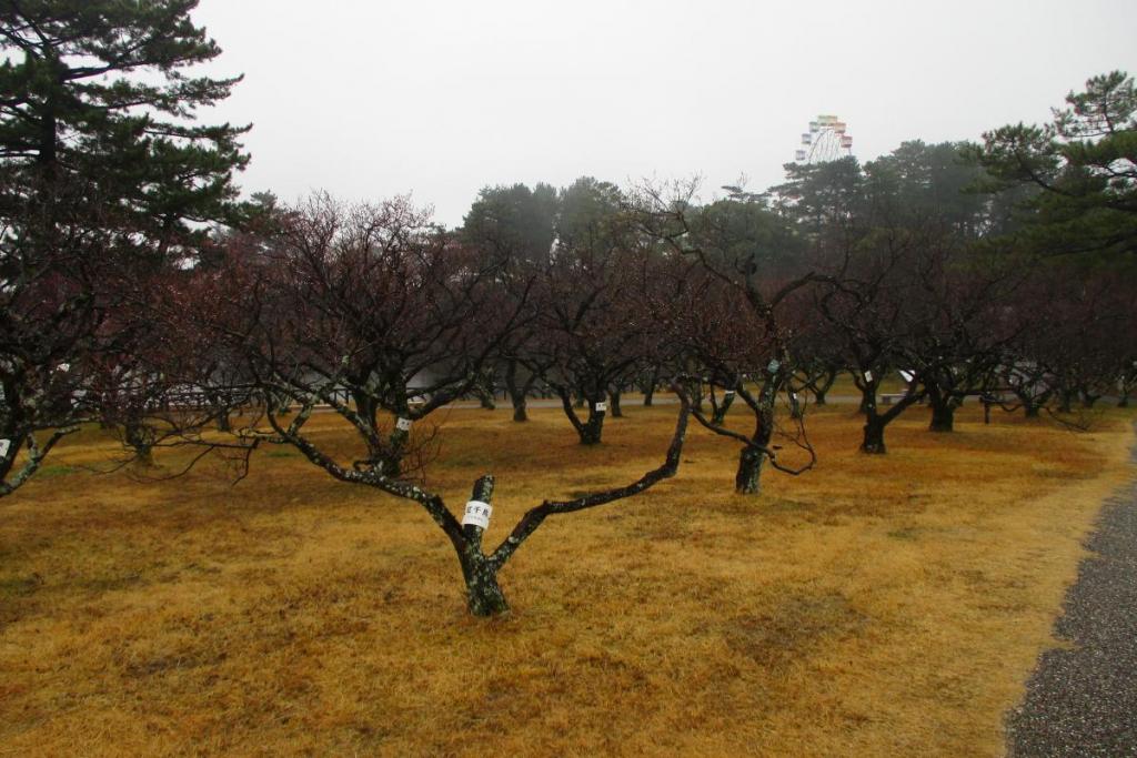 全景2