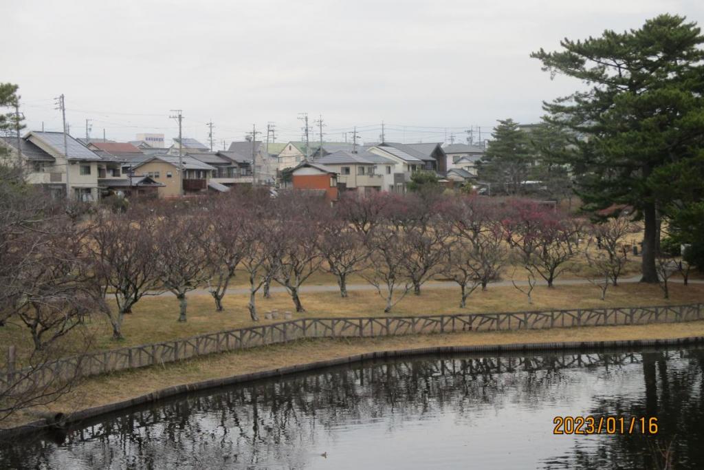 全景1