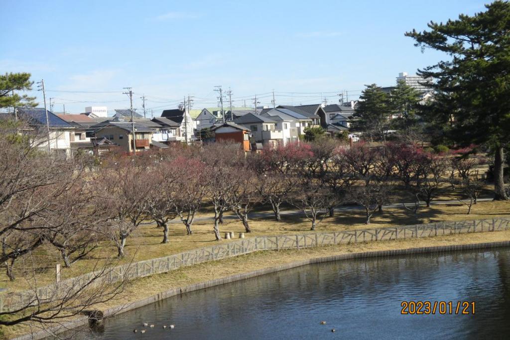 全景1