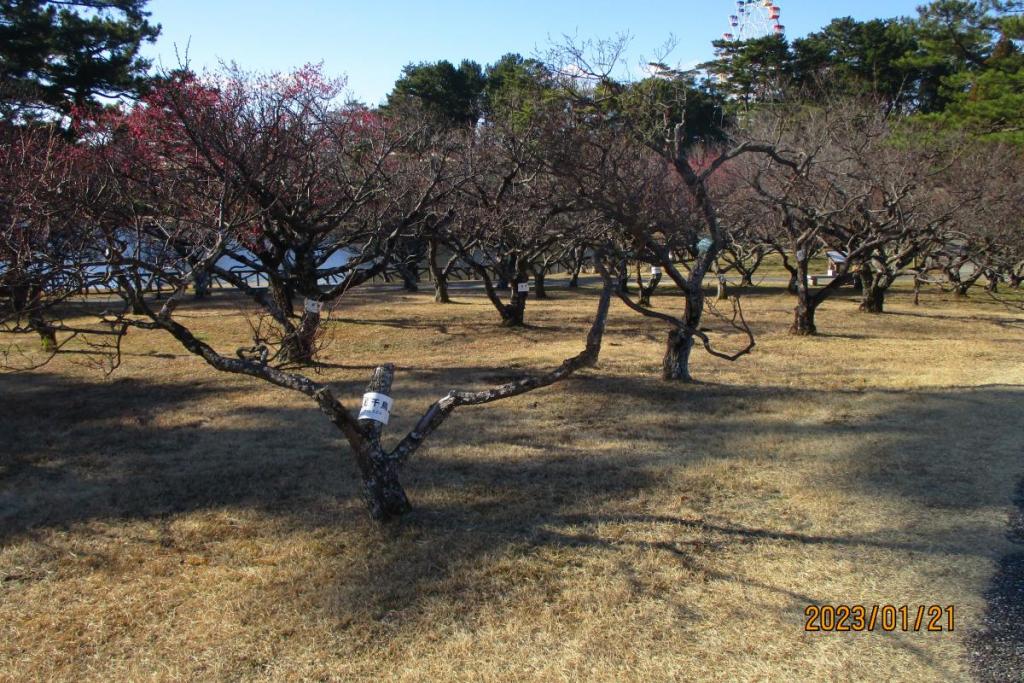 全景2