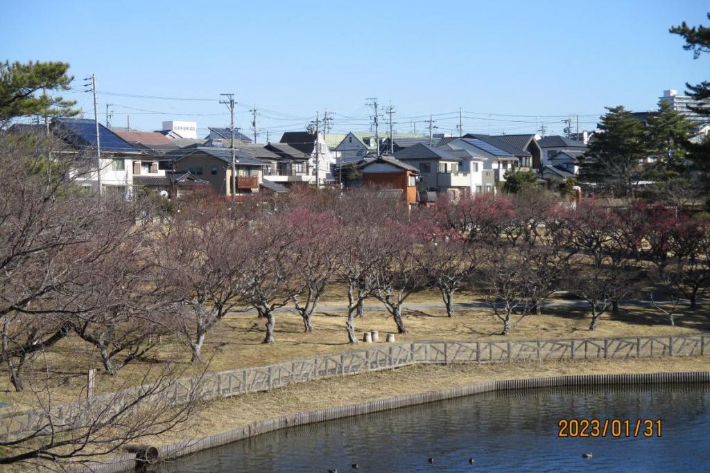 全景1