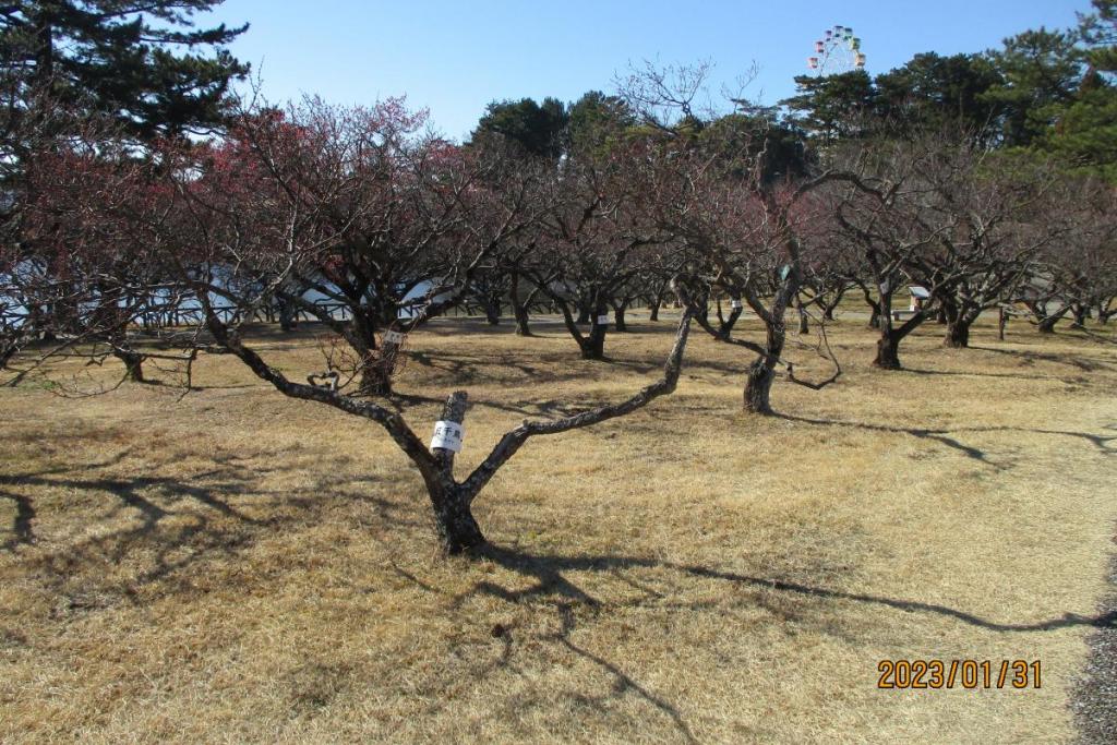 全景2