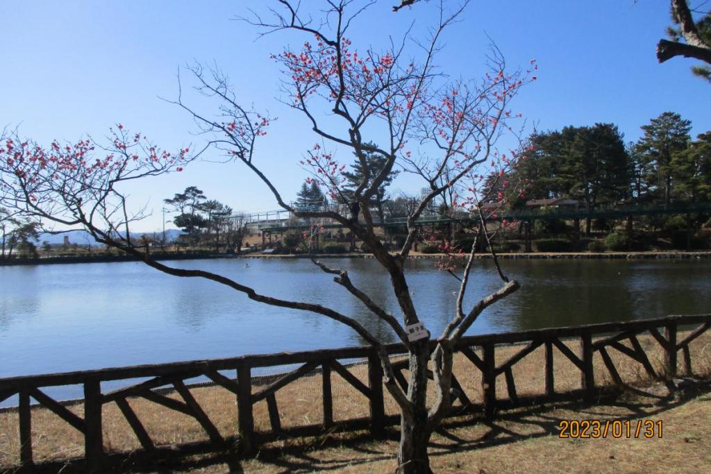 獅子頭全景