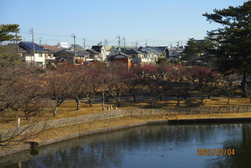 全景1