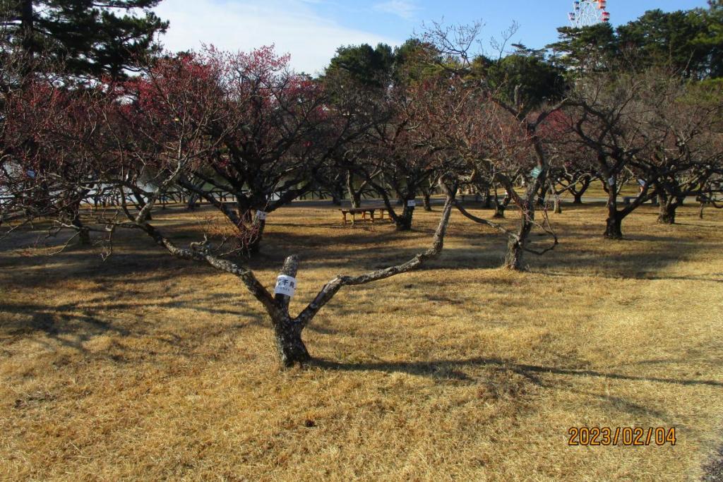 全景2