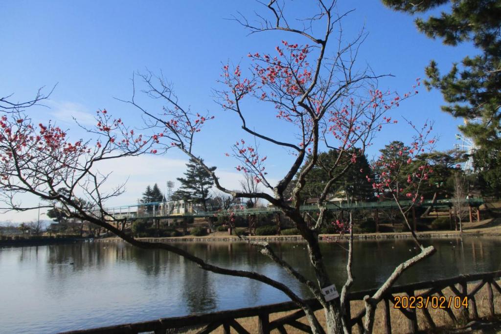 獅子頭全景