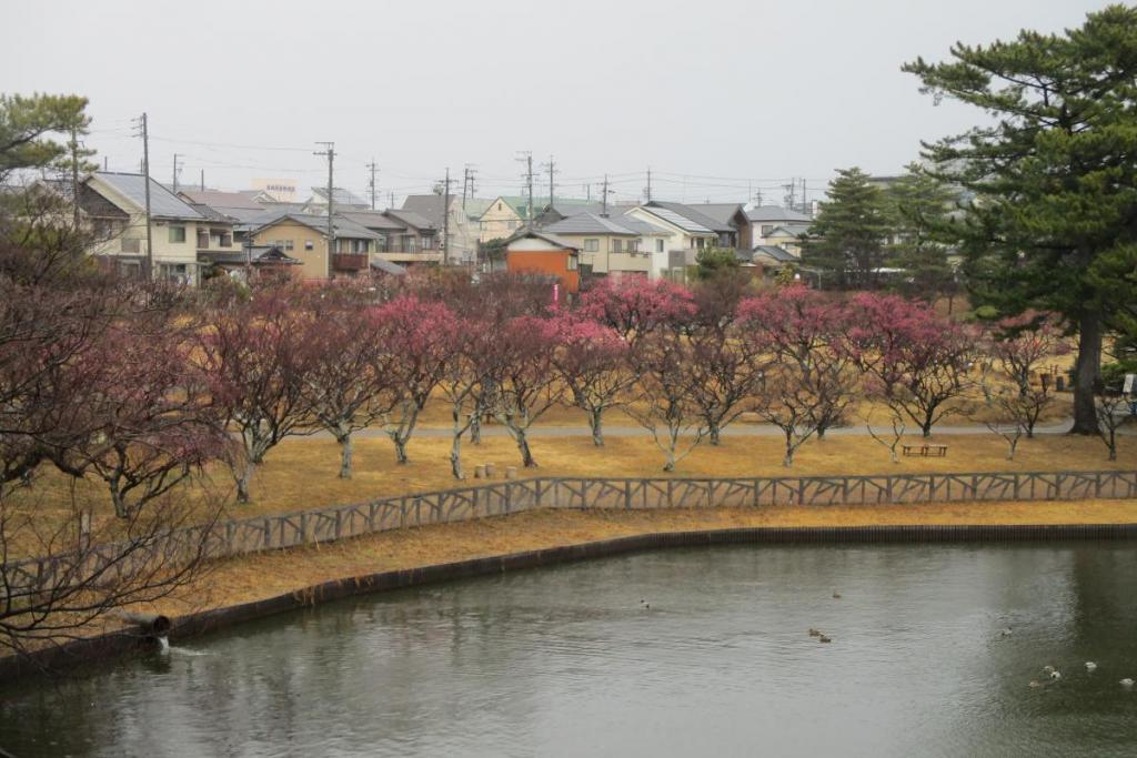 全景1