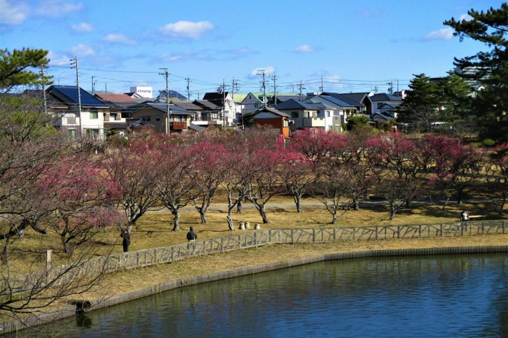 全景1