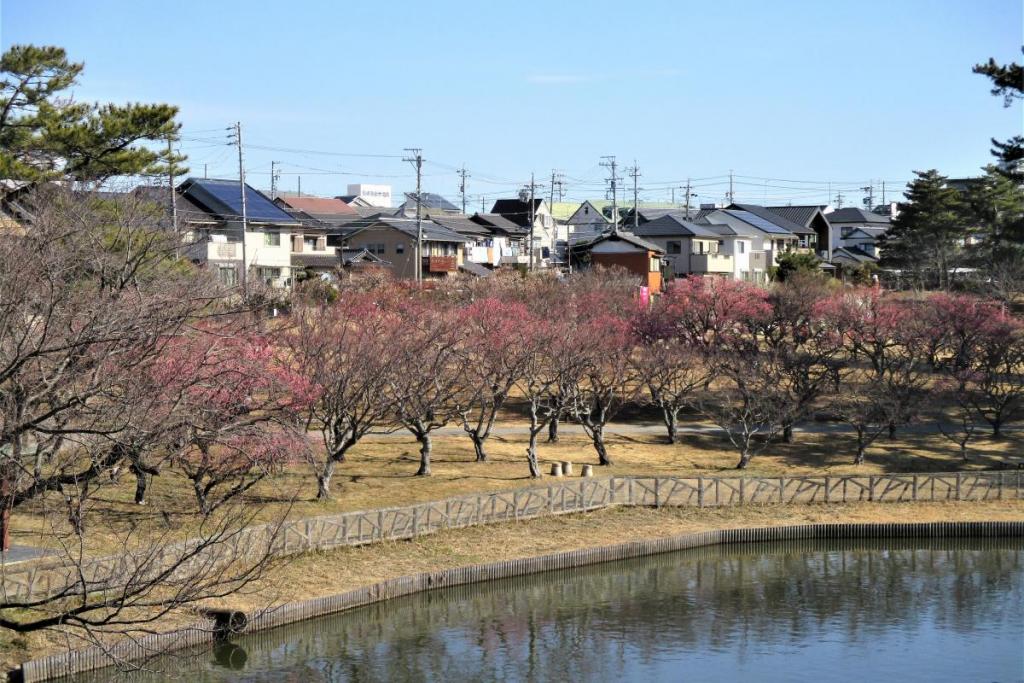 全景1