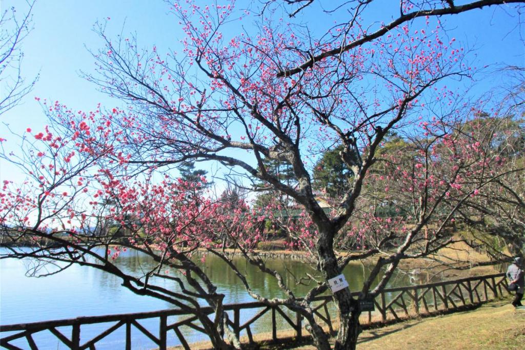 見驚全景