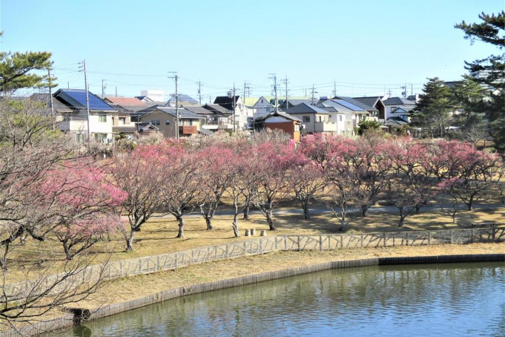 全景①