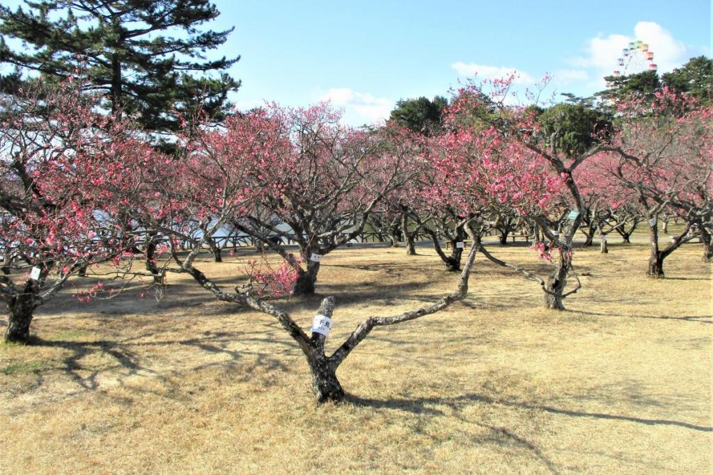 全景②