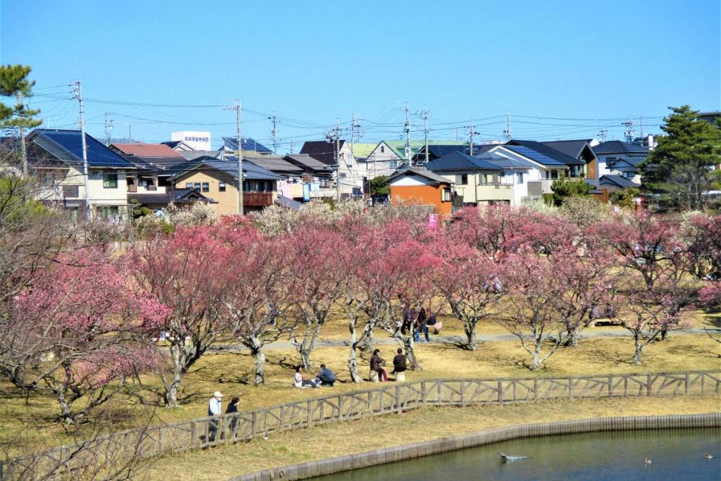 全景1
