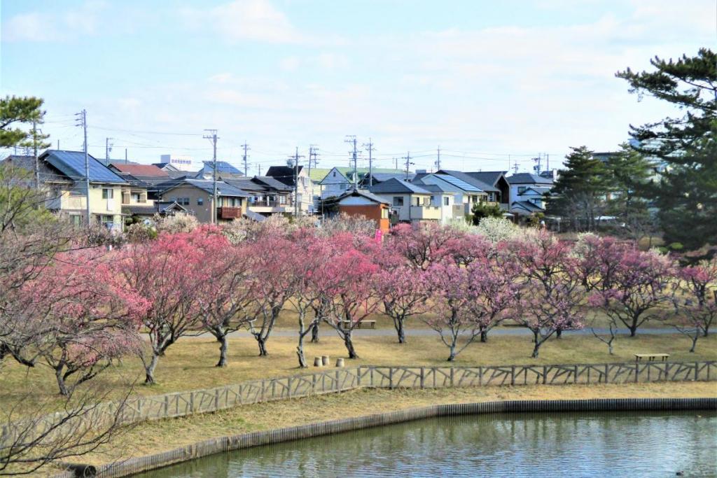 全景①