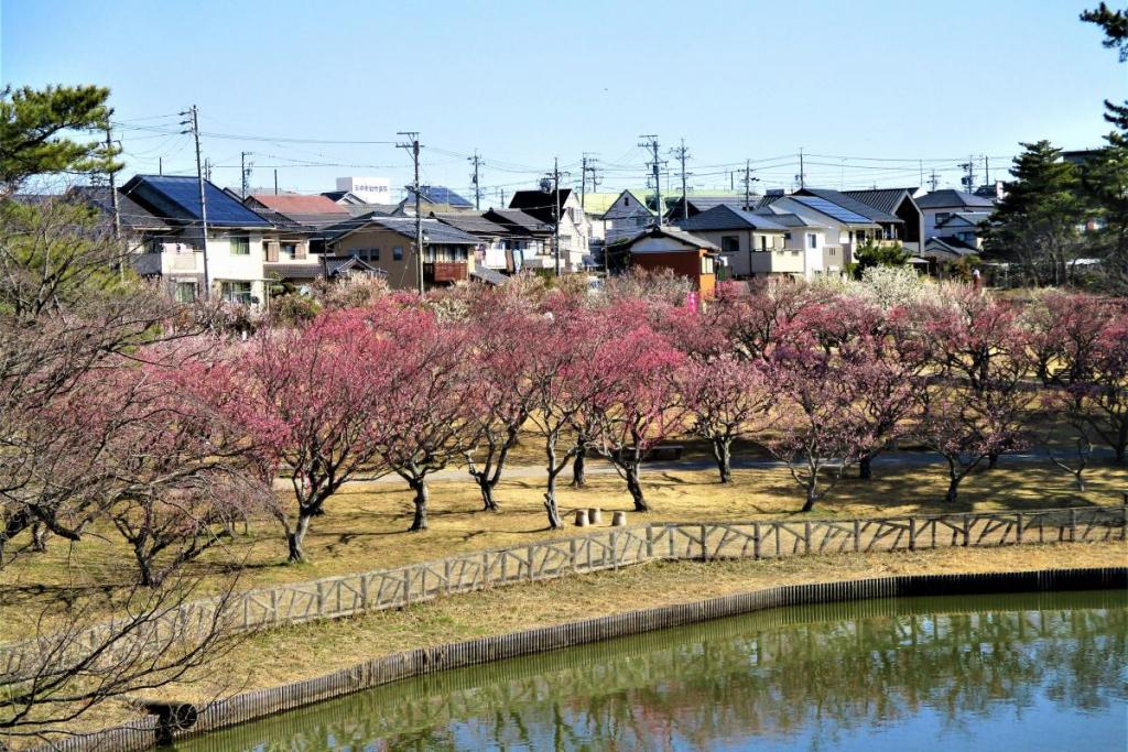 全景①